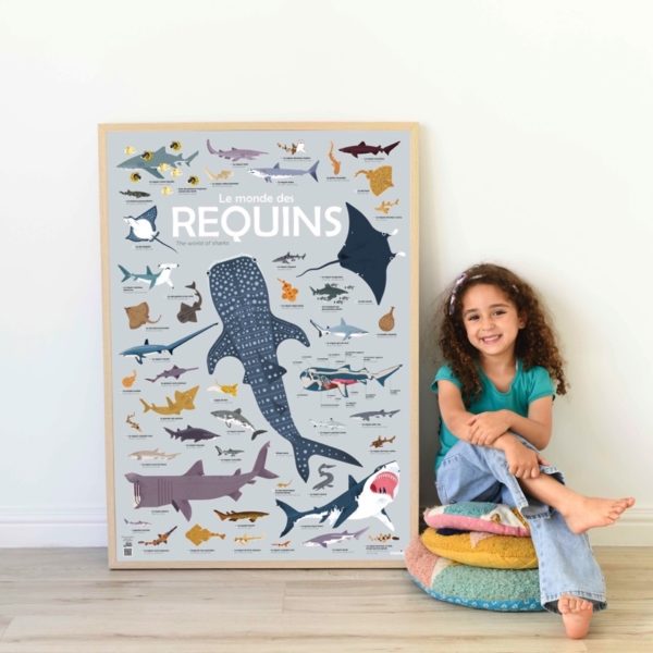 poppik-poster-stickers-requins-sharks-pedagogique-educatif-autocollants-1-600×600